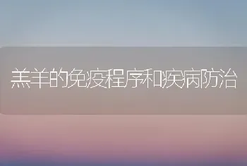 羔羊的免疫程序和疾病防治