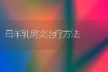 母羊乳房炎治疗方法