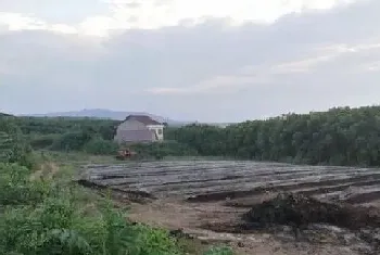 蚯蚓规模化关键养殖技术介绍