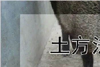 土方法抓野猪