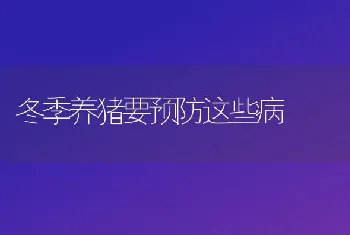 冬季养猪要预防这些病