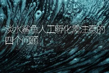 淡水鲨鱼人工孵化需注意的四个问题