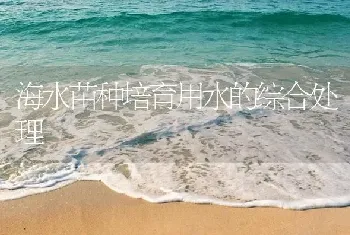 海水苗种培育用水的综合处理