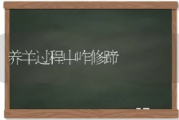 养羊过程中咋修蹄