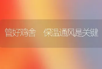 管好鸡舍 保温通风是关键