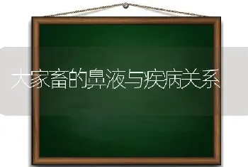 大家畜的鼻液与疾病关系