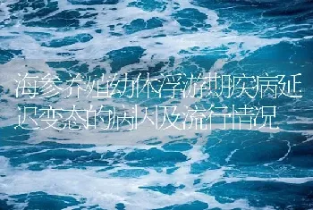 海参养殖幼体浮游期疾病延迟变态的病因及流行情况