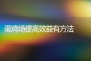 蛋鸡场提高效益有方法