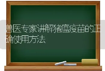 兽医专家讲解猪瘟疫苗的正确使用方法