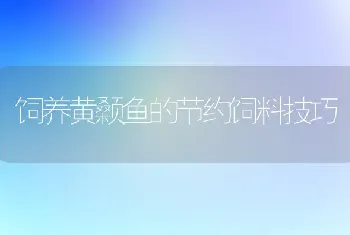 饲养黄颡鱼的节约饲料技巧