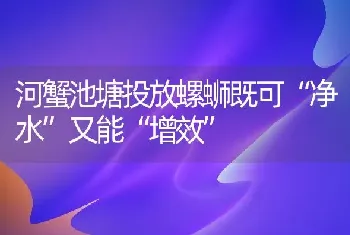 河蟹池塘投放螺蛳既可“净水”又能“增效”