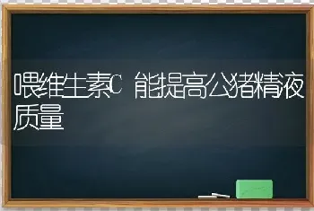 喂维生素C能提高公猪精液质量