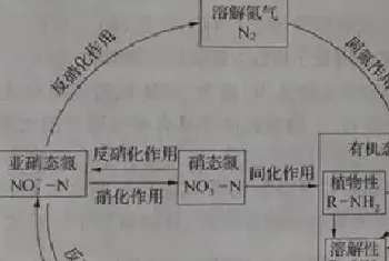 虾蟹池塘亚盐产生、危害以及防治你都清楚了吗?