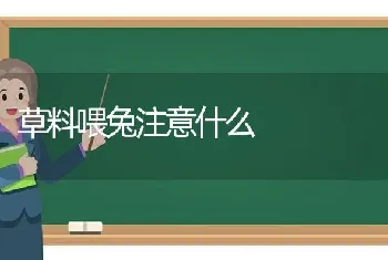 草料喂兔注意什么