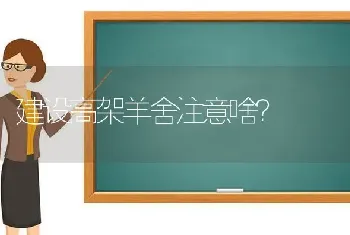 建设高架羊舍注意啥?