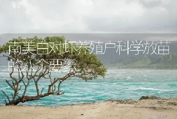 南美白对虾养殖户科学放苗的八个要素