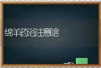 绵羊药浴注意啥