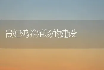 贵妃鸡养殖场的建设