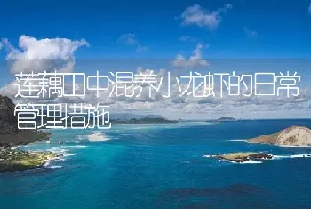 莲藕田中混养小龙虾的日常管理措施