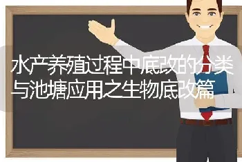 水产养殖过程中底改的分类与池塘应用之生物底改篇