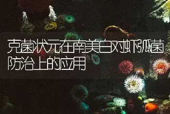 克菌状元在南美白对虾弧菌防治上的应用