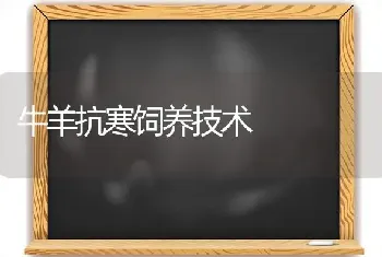 牛羊抗寒饲养技术