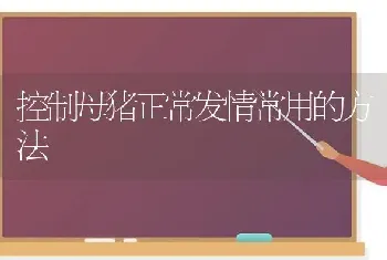 控制母猪正常发情常用的方法