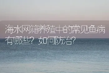 海水网箱养殖中的常见鱼病有哪些?如何防治?