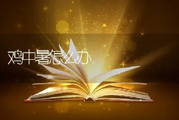 鸡中暑怎么办