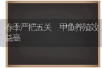 春季严把五关　甲鱼养殖效益高