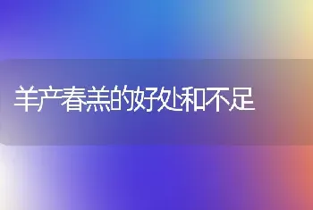 羊产春羔的好处和不足