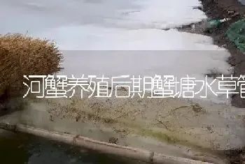 河蟹养殖后期蟹塘水草管理