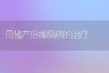 母猪产后瘫痪病的治疗