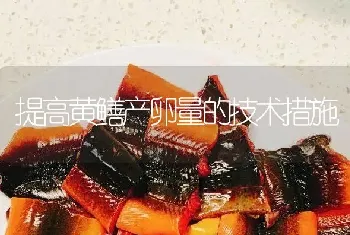 提高黄鳝产卵量的技术措施