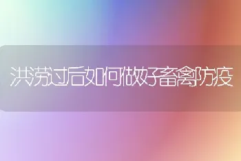 洪涝过后如何做好畜禽防疫