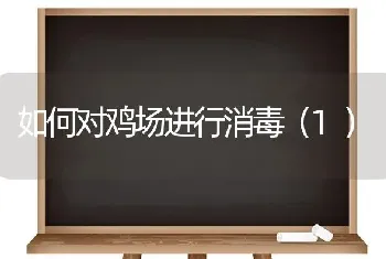 如何对鸡场进行消毒(1)