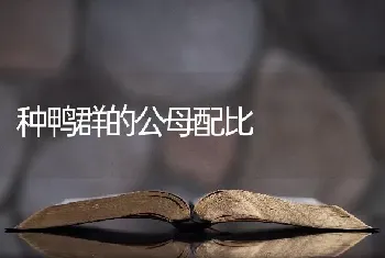 种鸭群的公母配比