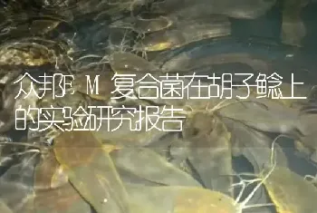 众邦EM复合菌在胡子鲶上的实验研究报告