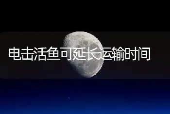 电击活鱼可延长运输时间