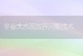 冬春大水面放养河蟹技术