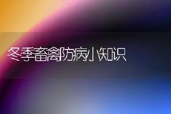 冬季畜禽防病小知识