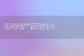 蛋鸡稳产管理技术