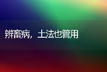 辨畜病,土法也管用