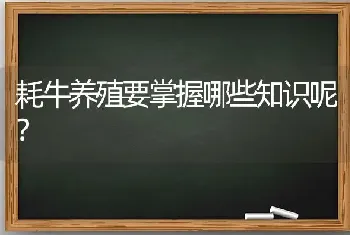 给肉鸡配用油脂饲料方法