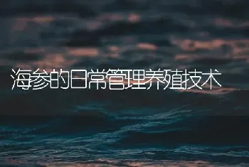 海参的日常管理养殖技术