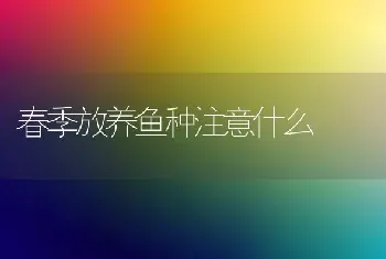 春季放养鱼种注意什么