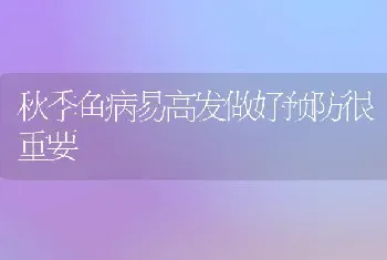 秋季鱼病易高发做好预防很重要