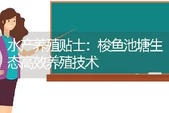 水产养殖贴士：梭鱼池塘生态高效养殖技术