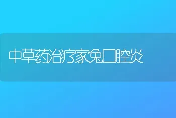 中草药治疗家兔口腔炎