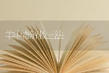 羊中毒解救三法